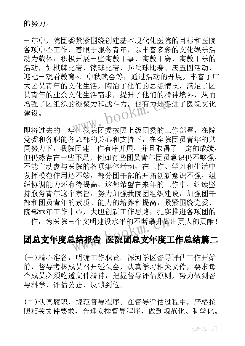 团总支年度总结报告 医院团总支年度工作总结(优质6篇)