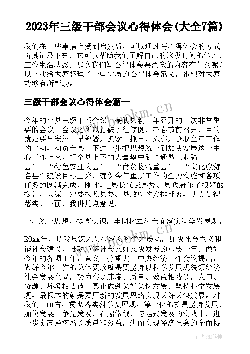 2023年三级干部会议心得体会(大全7篇)