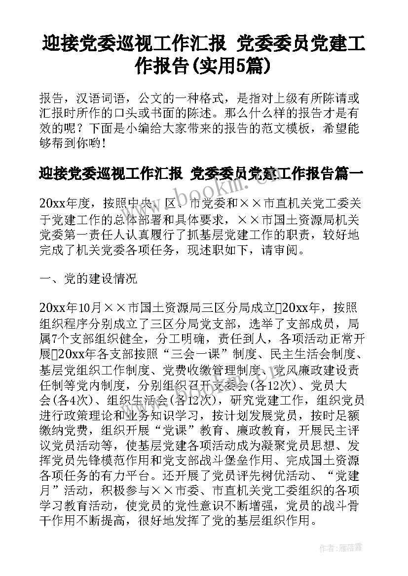 迎接党委巡视工作汇报 党委委员党建工作报告(实用5篇)