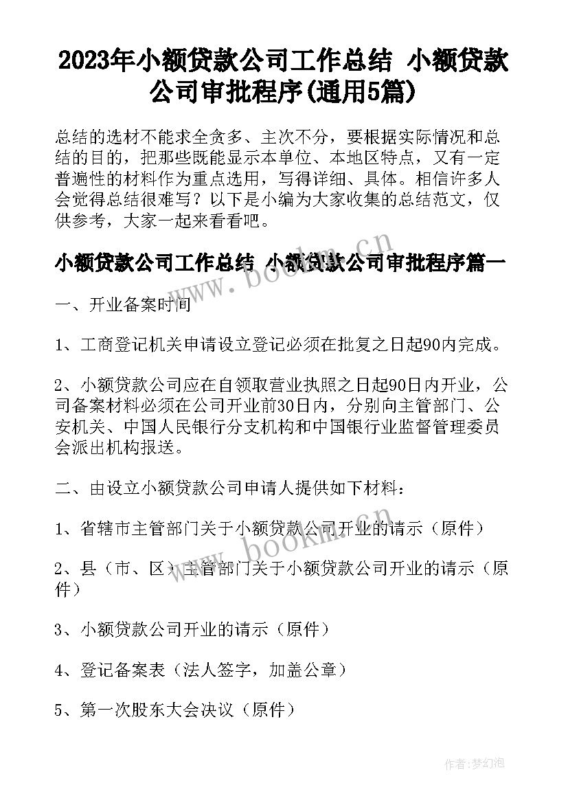 2023年小额贷款公司工作总结 小额贷款公司审批程序(通用5篇)