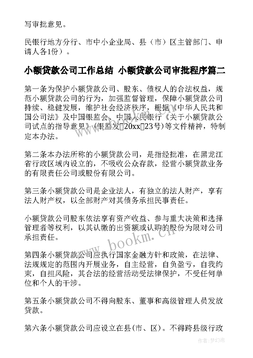 2023年小额贷款公司工作总结 小额贷款公司审批程序(通用5篇)