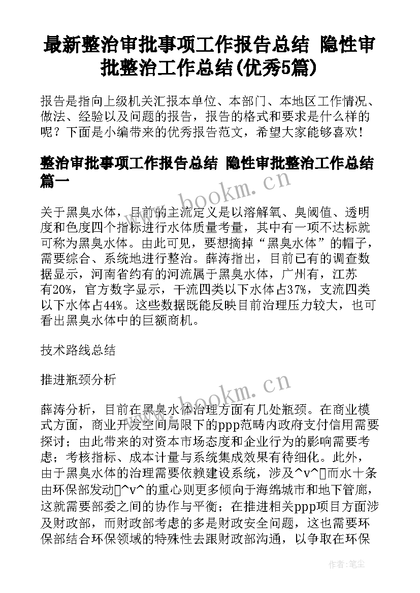 最新整治审批事项工作报告总结 隐性审批整治工作总结(优秀5篇)