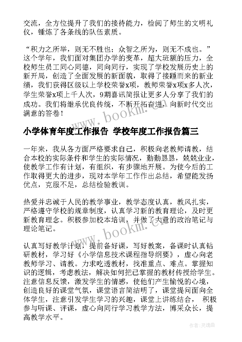 2023年小学体育年度工作报告 学校年度工作报告(通用9篇)