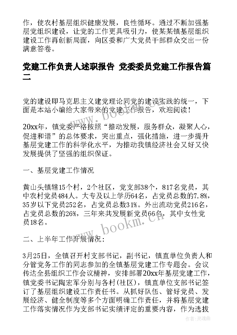 最新党建工作负责人述职报告 党委委员党建工作报告(汇总8篇)