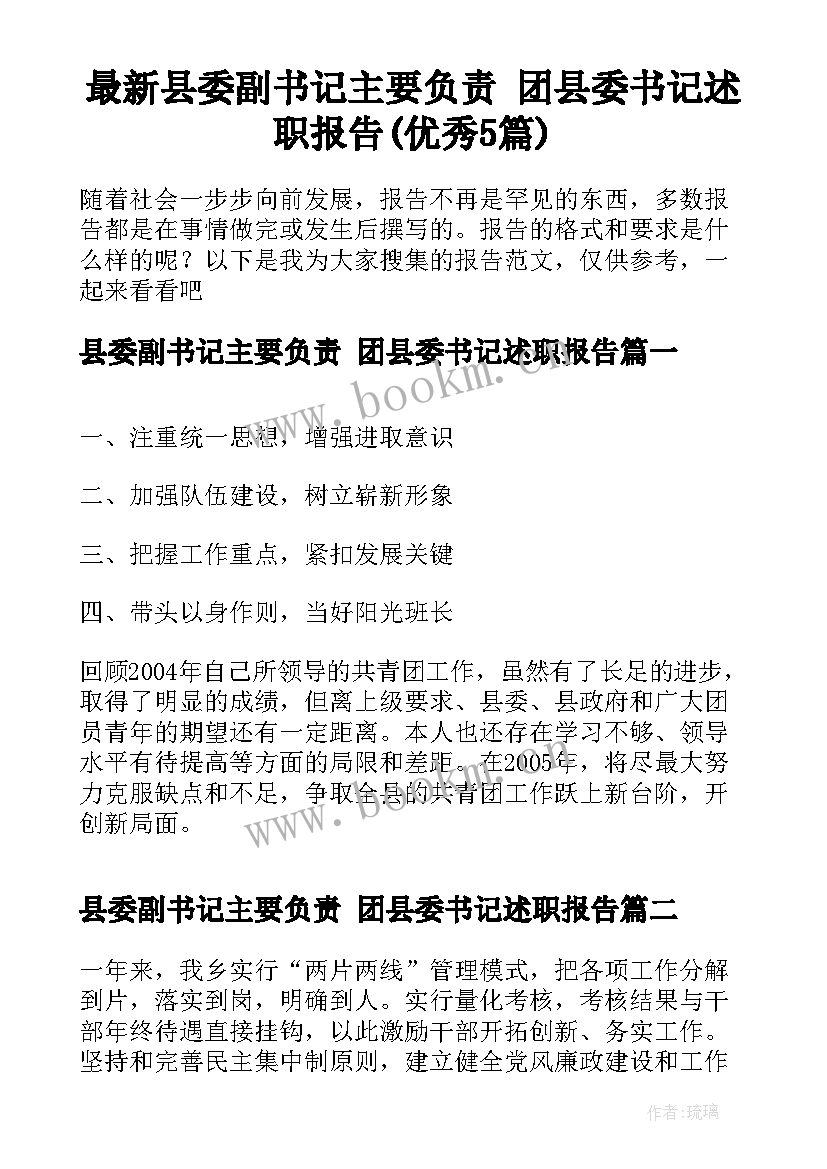 最新县委副书记主要负责 团县委书记述职报告(优秀5篇)