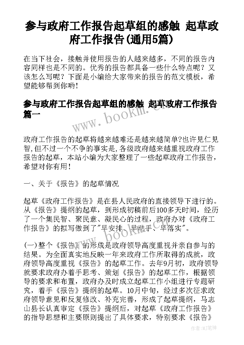 参与政府工作报告起草组的感触 起草政府工作报告(通用5篇)