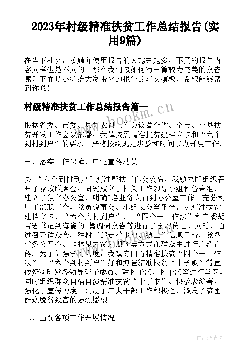 2023年村级精准扶贫工作总结报告(实用9篇)