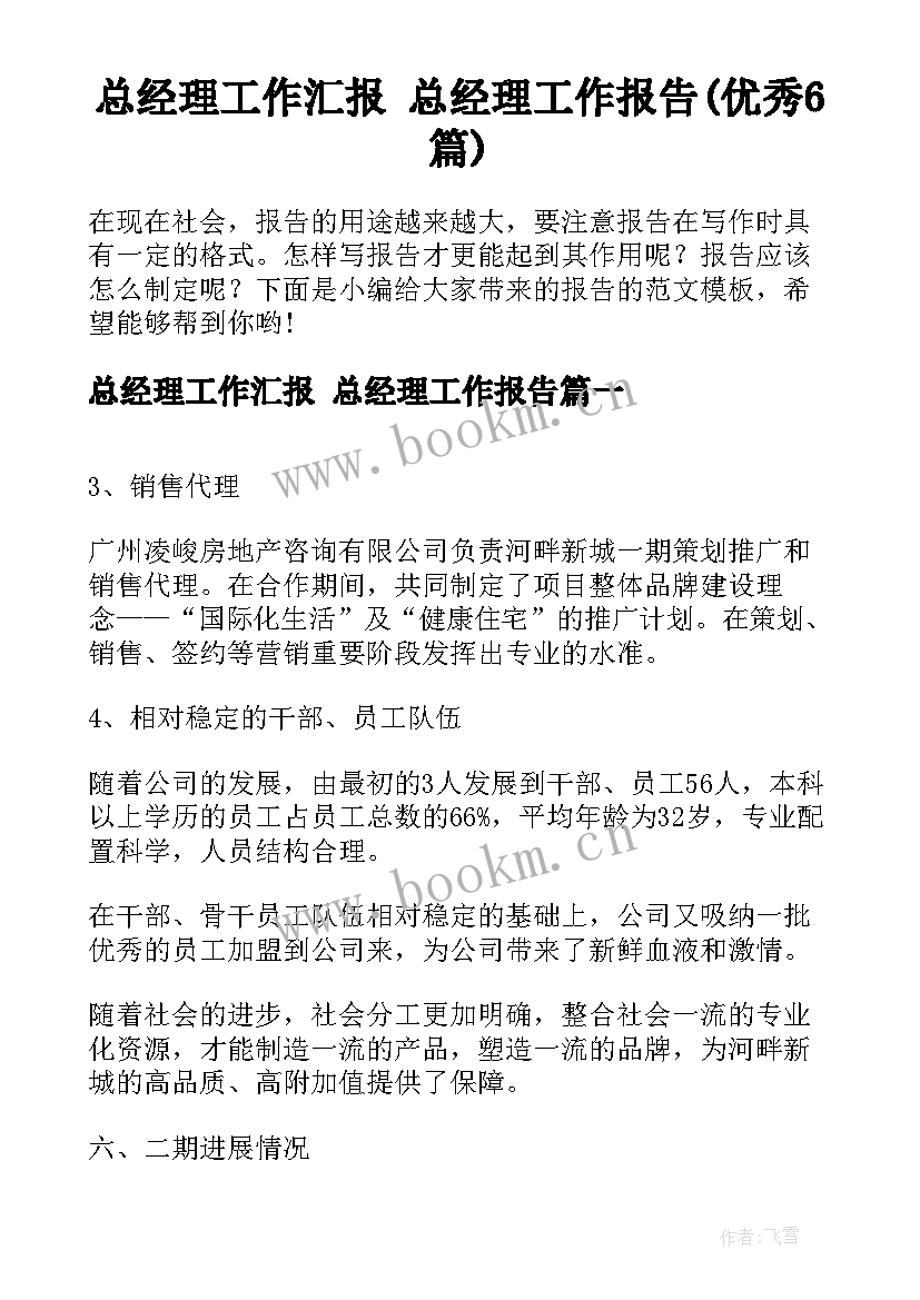 总经理工作汇报 总经理工作报告(优秀6篇)