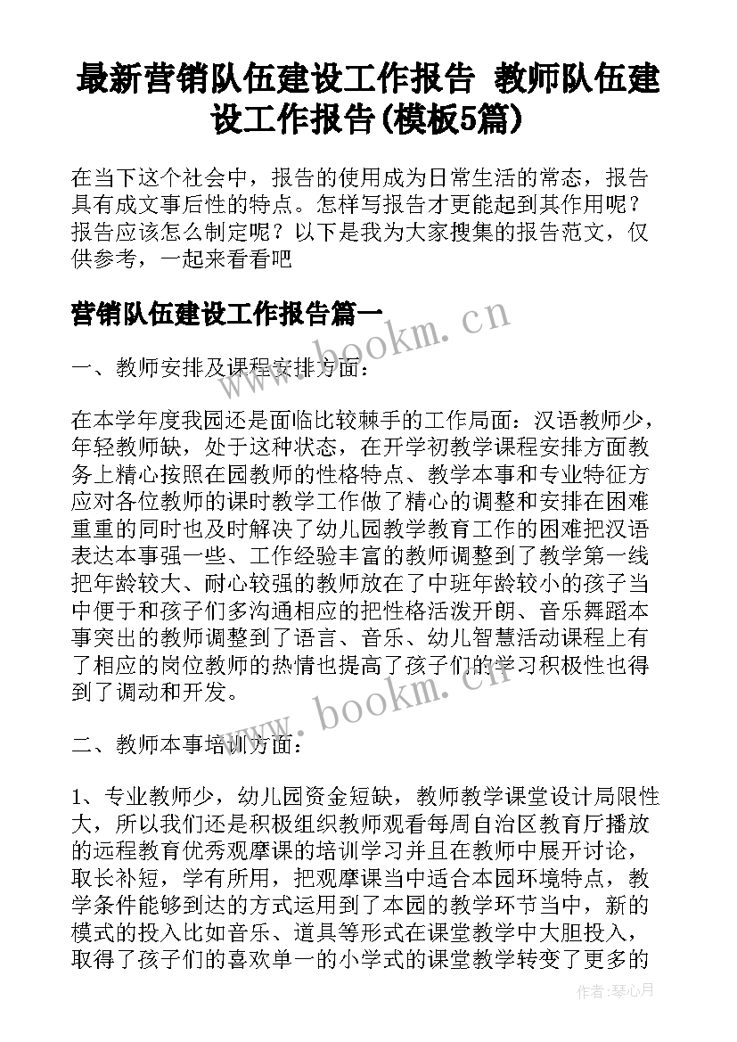 最新营销队伍建设工作报告 教师队伍建设工作报告(模板5篇)