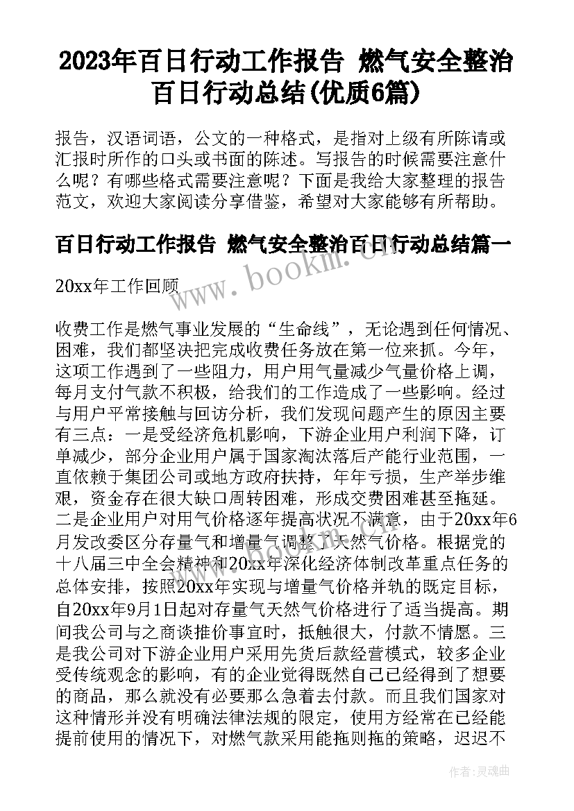 2023年百日行动工作报告 燃气安全整治百日行动总结(优质6篇)