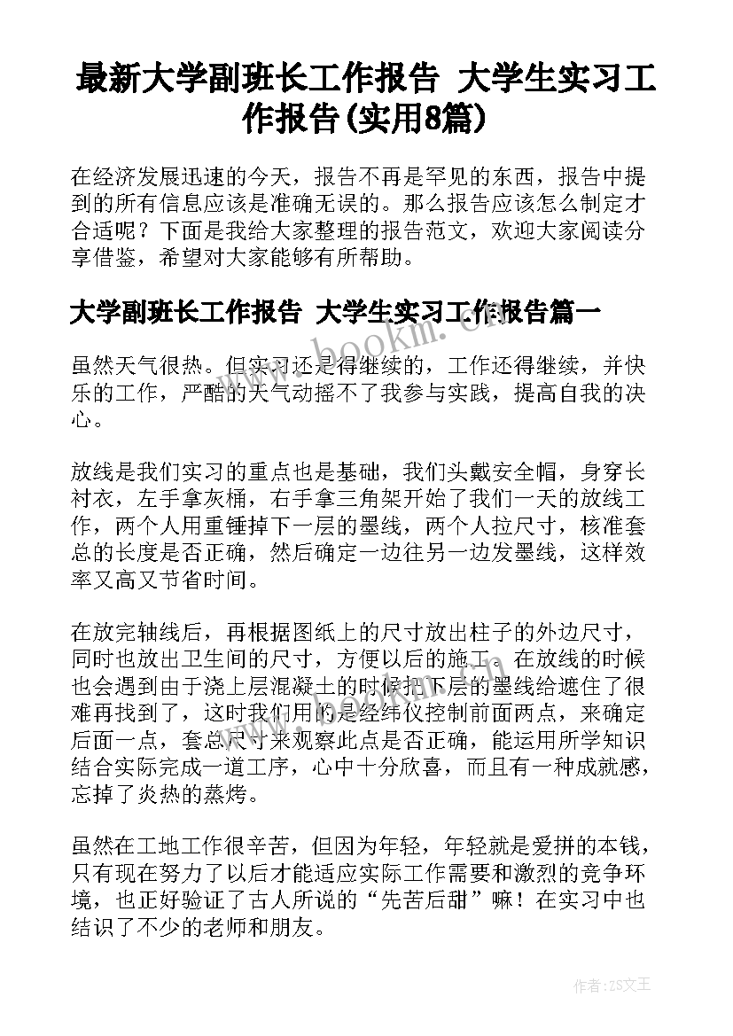 最新大学副班长工作报告 大学生实习工作报告(实用8篇)