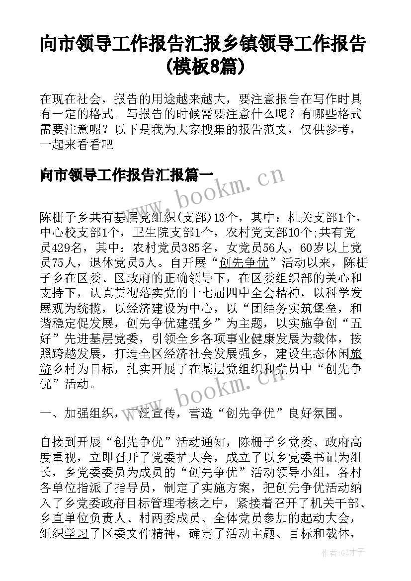 向市领导工作报告汇报 乡镇领导工作报告(模板8篇)