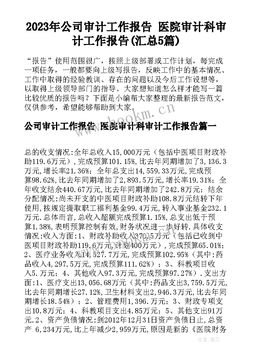 2023年公司审计工作报告 医院审计科审计工作报告(汇总5篇)