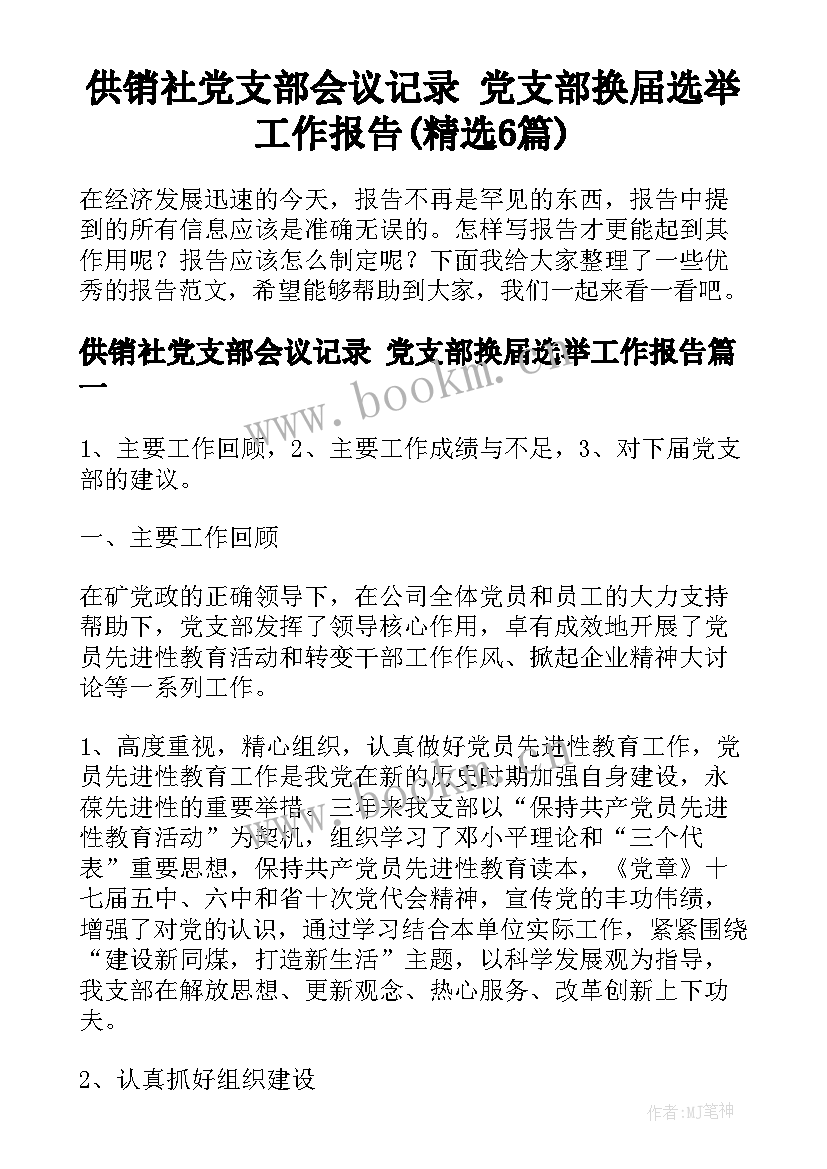 供销社党支部会议记录 党支部换届选举工作报告(精选6篇)