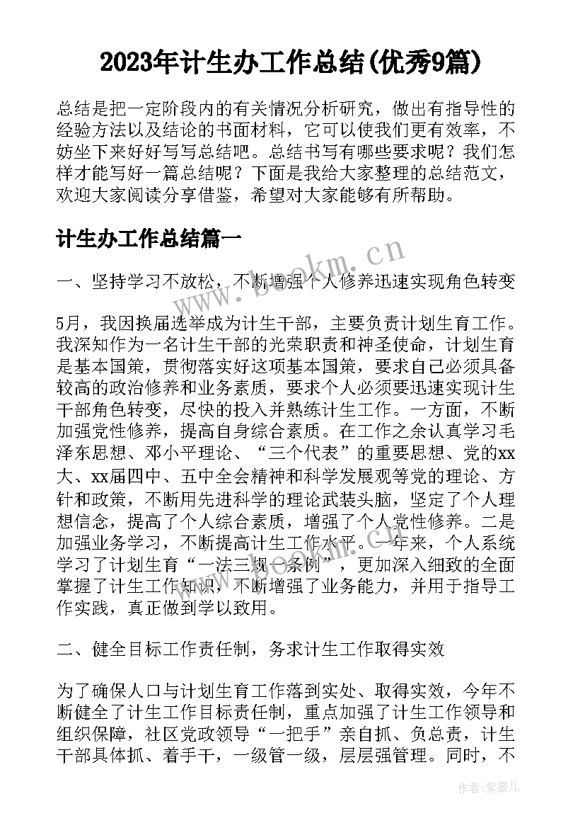 2023年计生办工作总结(优秀9篇)