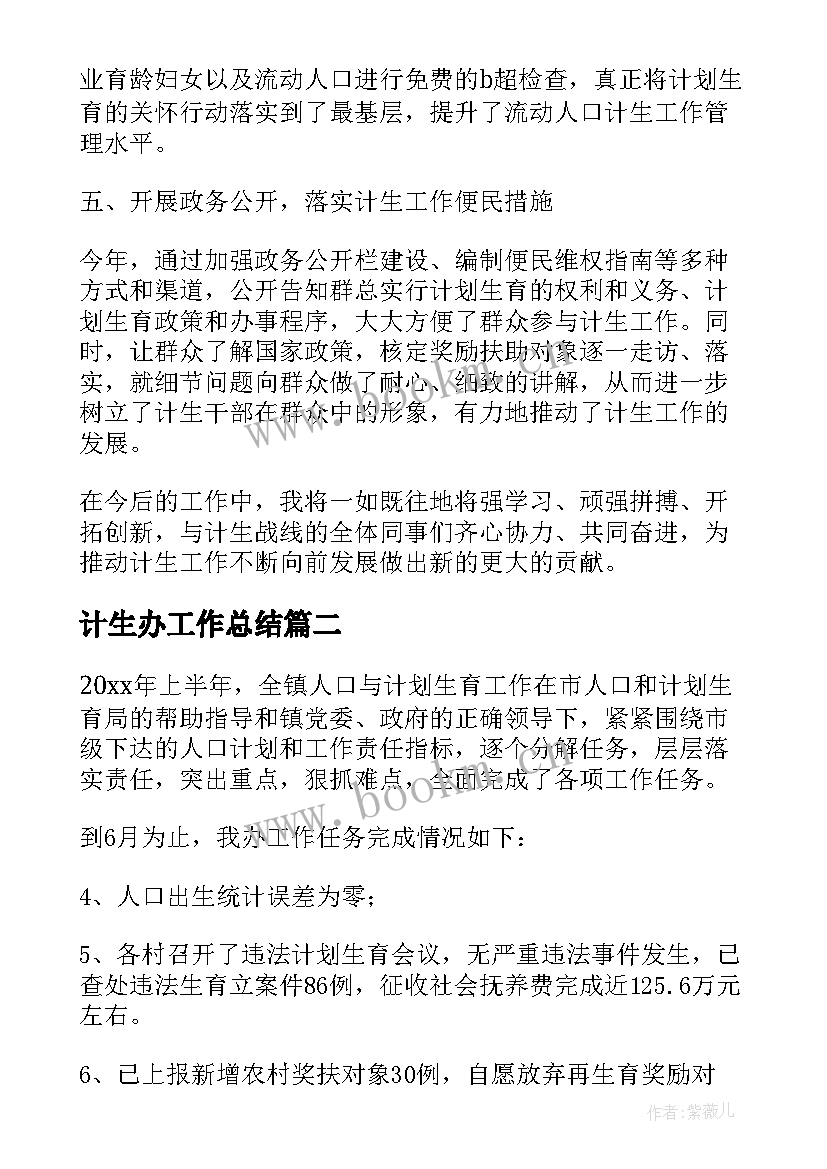 2023年计生办工作总结(优秀9篇)