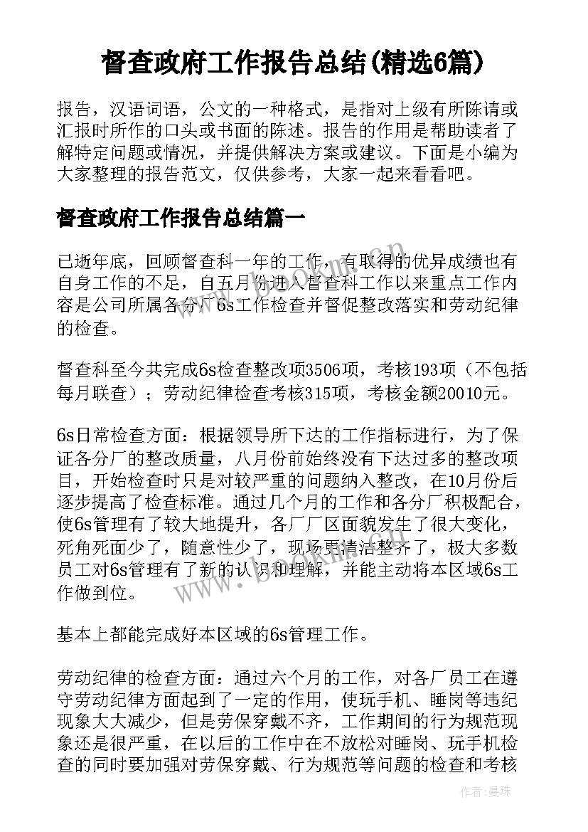 督查政府工作报告总结(精选6篇)