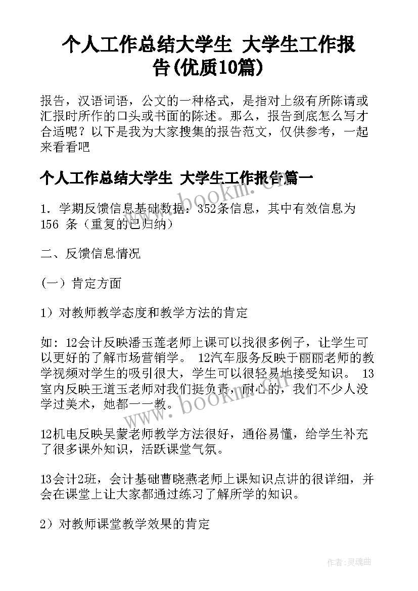 个人工作总结大学生 大学生工作报告(优质10篇)