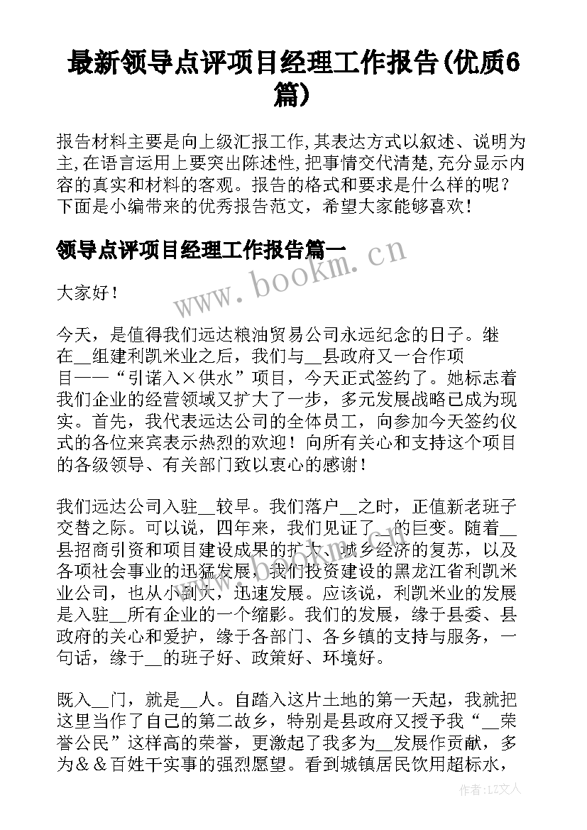 最新领导点评项目经理工作报告(优质6篇)