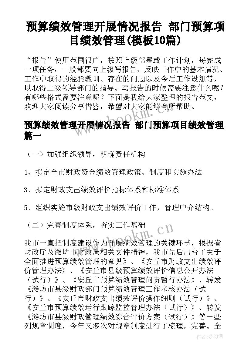 预算绩效管理开展情况报告 部门预算项目绩效管理(模板10篇)