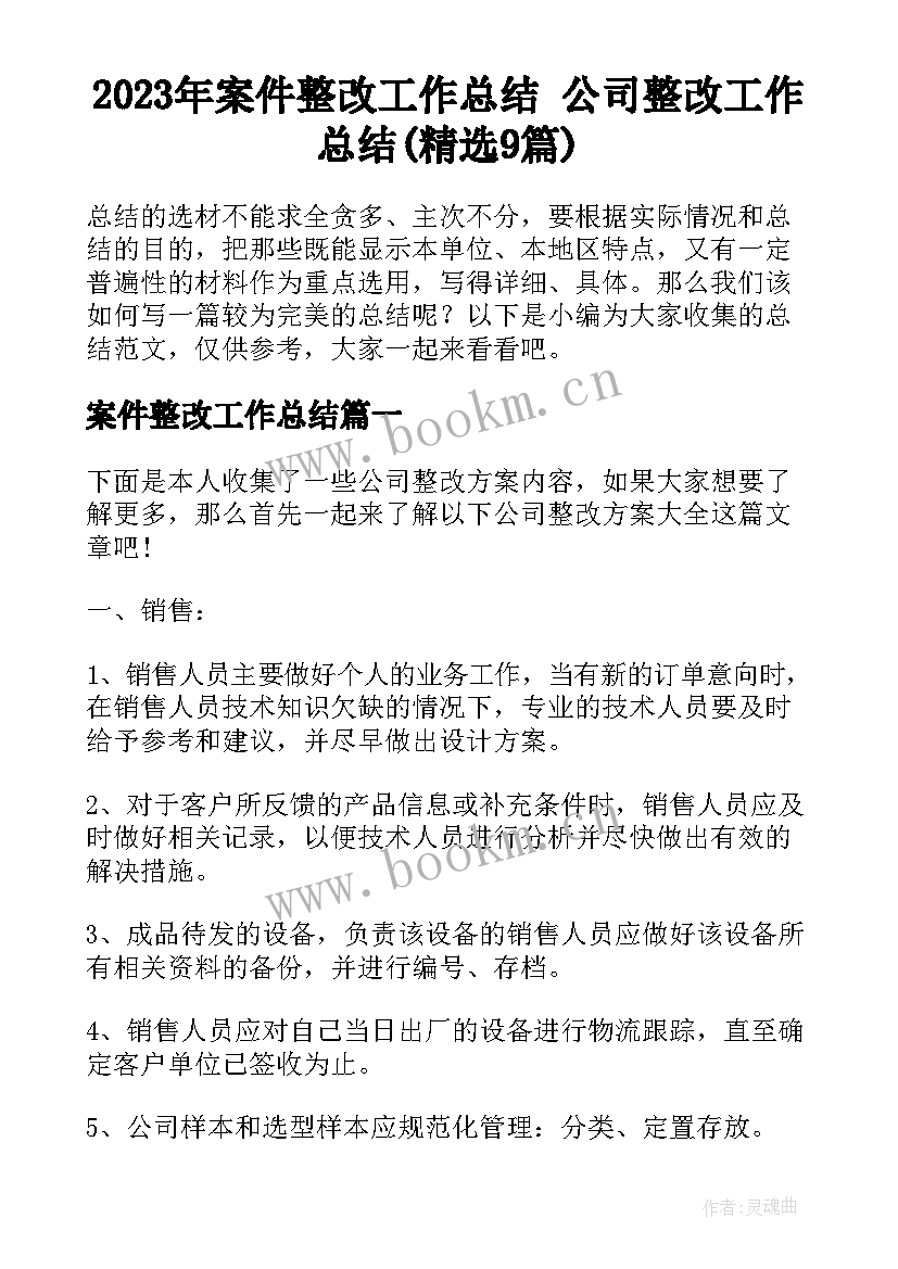 2023年案件整改工作总结 公司整改工作总结(精选9篇)