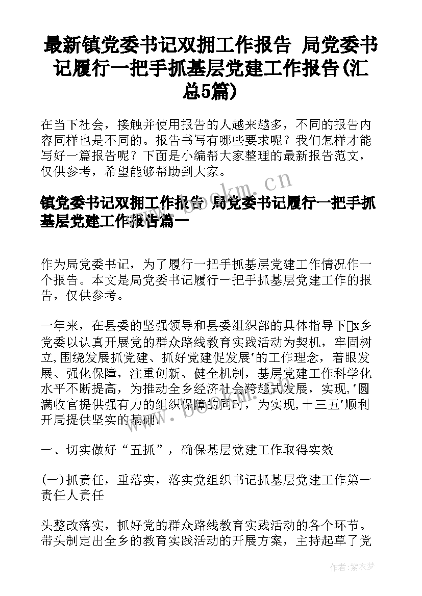 最新镇党委书记双拥工作报告 局党委书记履行一把手抓基层党建工作报告(汇总5篇)