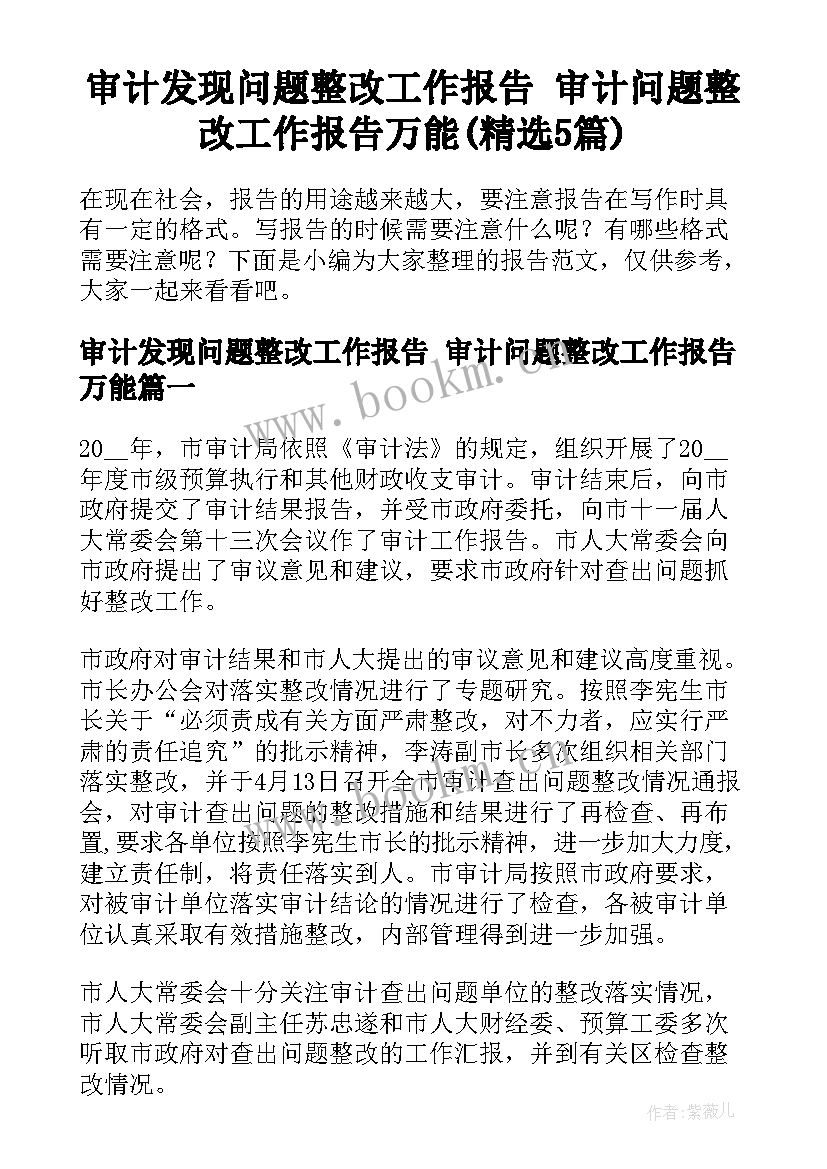 审计发现问题整改工作报告 审计问题整改工作报告万能(精选5篇)