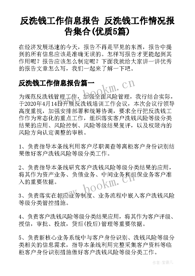 反洗钱工作信息报告 反洗钱工作情况报告集合(优质5篇)