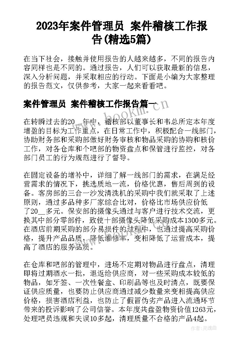 2023年案件管理员 案件稽核工作报告(精选5篇)