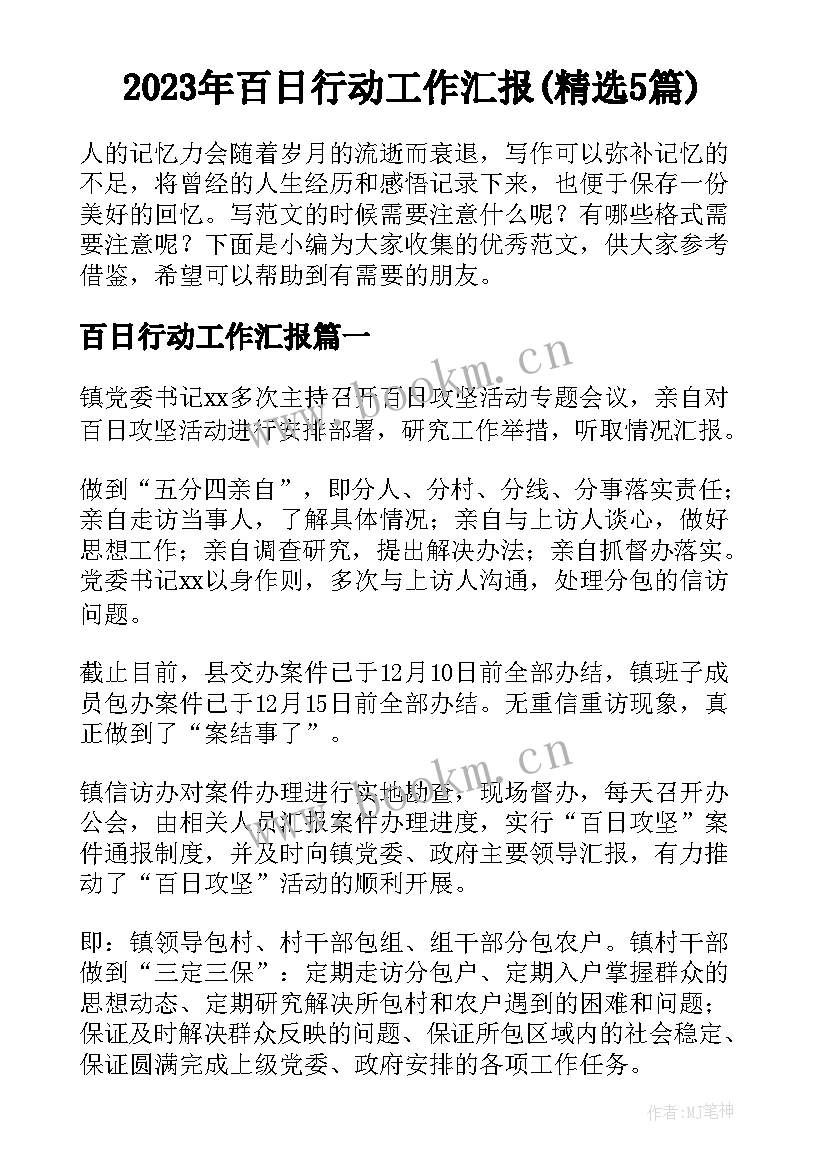 2023年百日行动工作汇报(精选5篇)