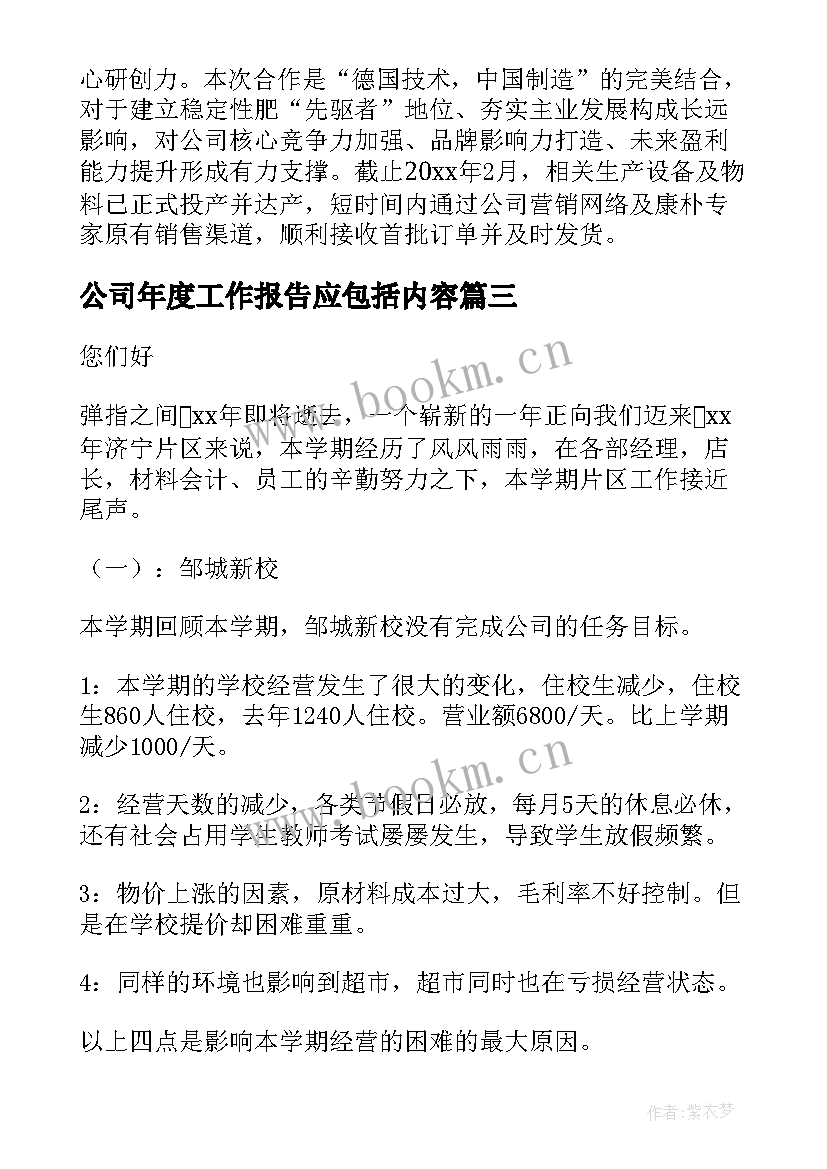 最新公司年度工作报告应包括内容(模板9篇)