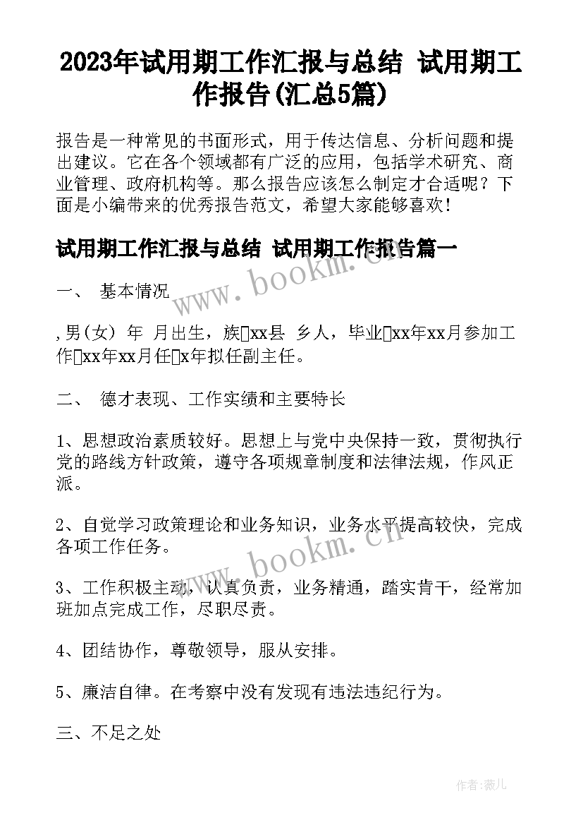 2023年试用期工作汇报与总结 试用期工作报告(汇总5篇)