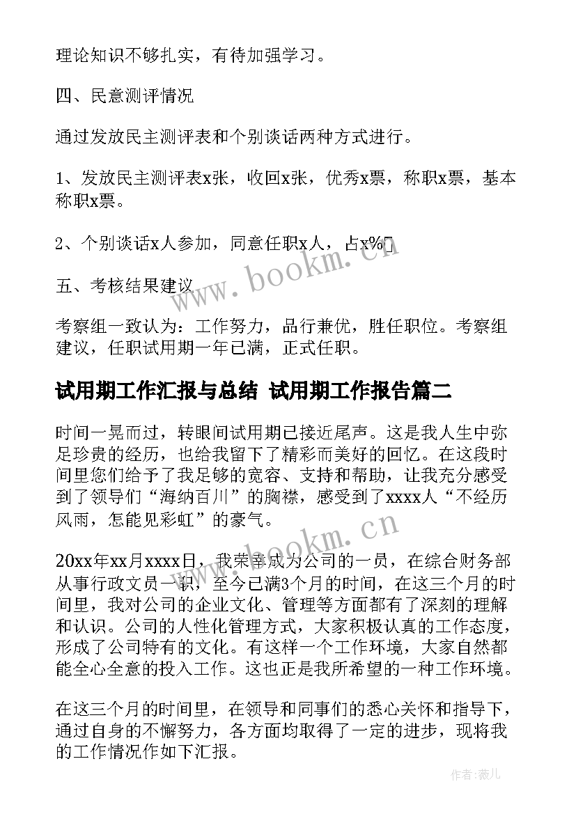 2023年试用期工作汇报与总结 试用期工作报告(汇总5篇)