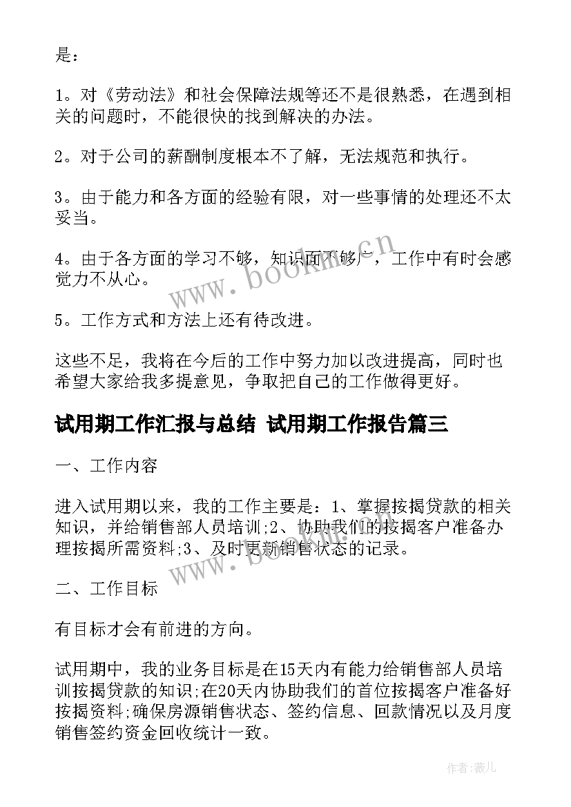 2023年试用期工作汇报与总结 试用期工作报告(汇总5篇)