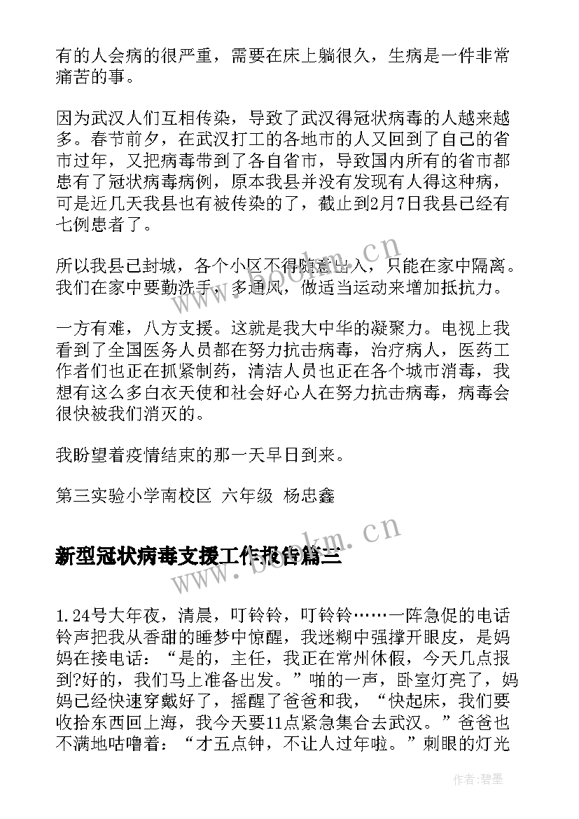 2023年新型冠状病毒支援工作报告(模板5篇)