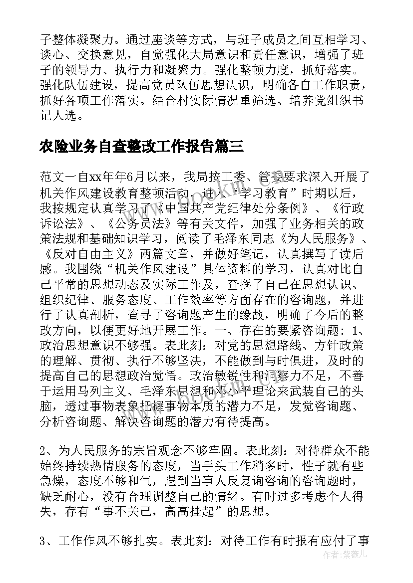 最新农险业务自查整改工作报告(模板8篇)