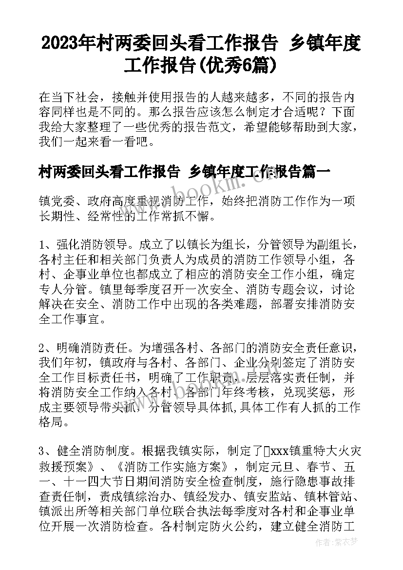 2023年村两委回头看工作报告 乡镇年度工作报告(优秀6篇)