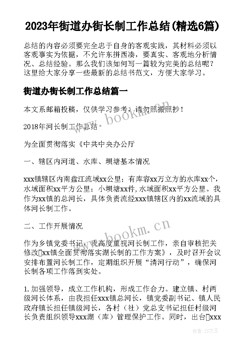 2023年街道办街长制工作总结(精选6篇)