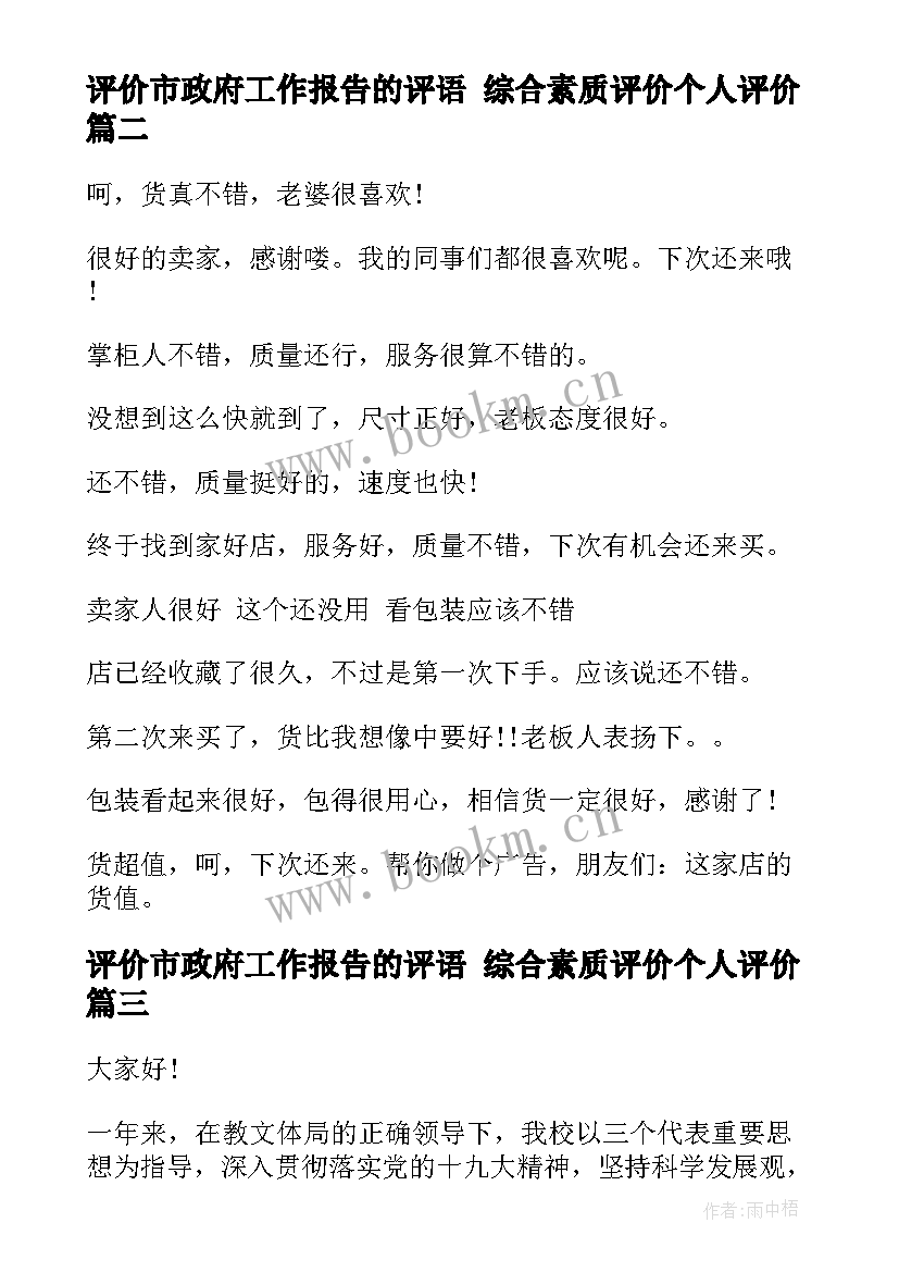 2023年评价市政府工作报告的评语 综合素质评价个人评价(优秀8篇)