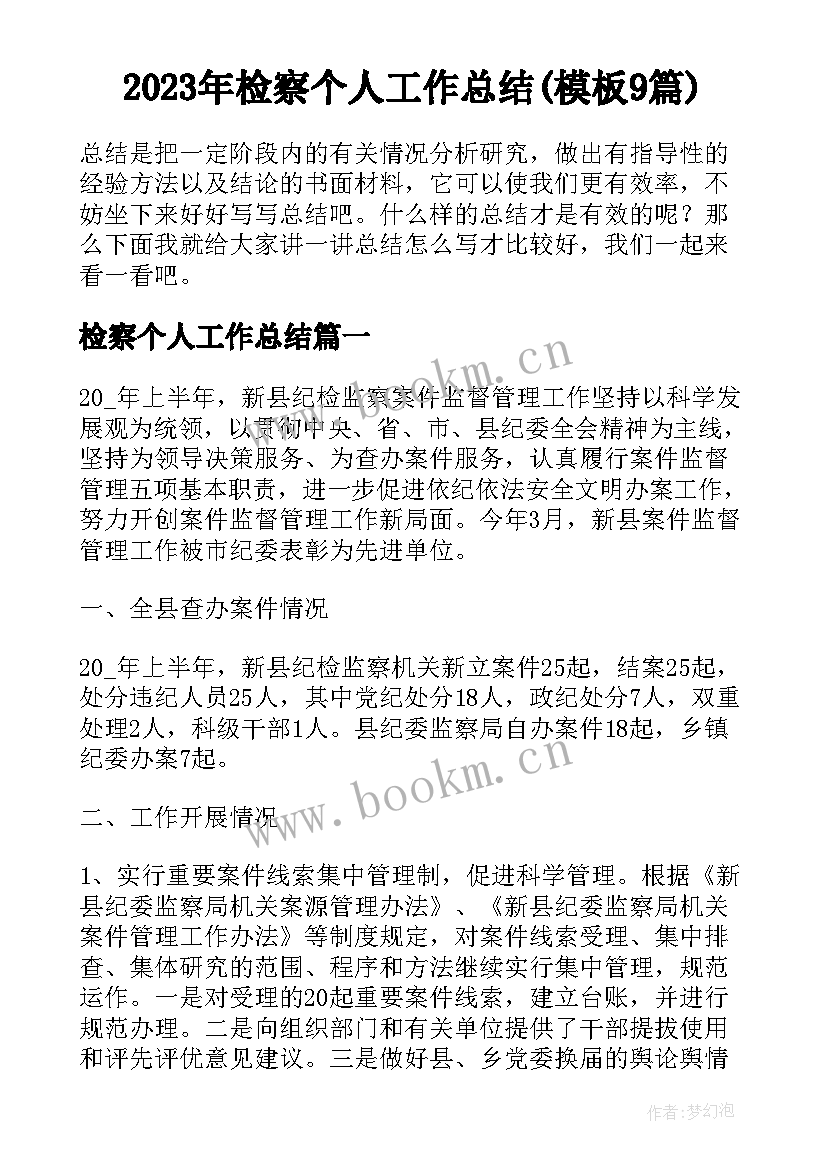 2023年检察个人工作总结(模板9篇)