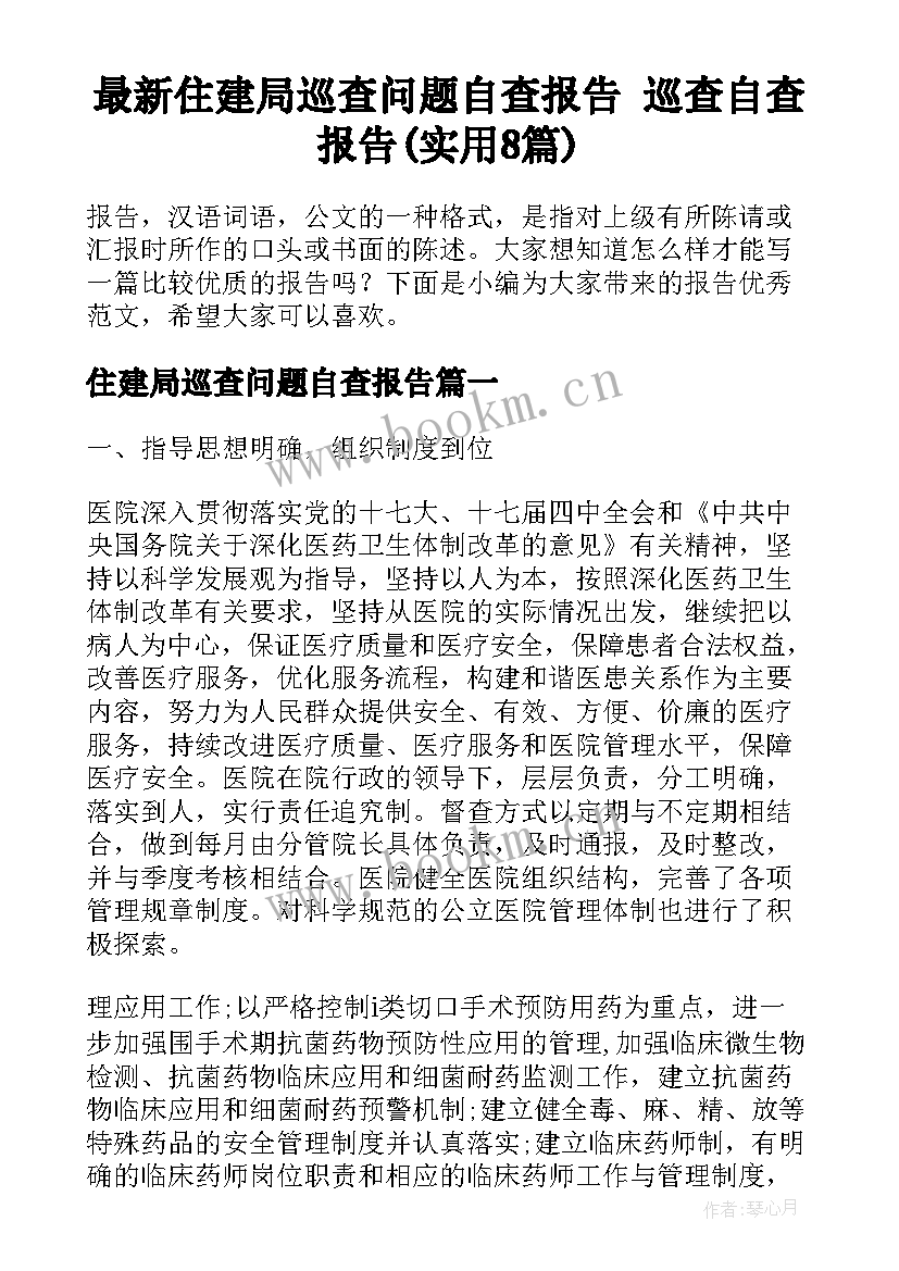 最新住建局巡查问题自查报告 巡查自查报告(实用8篇)