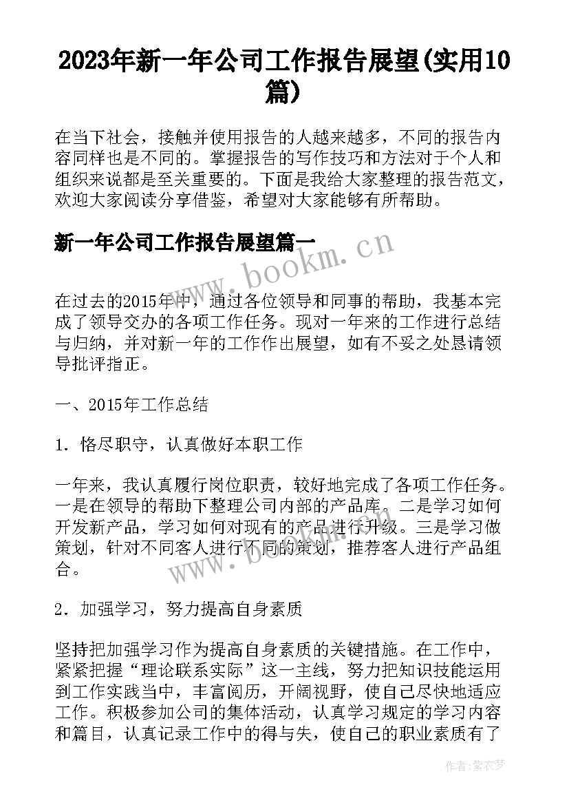 2023年新一年公司工作报告展望(实用10篇)