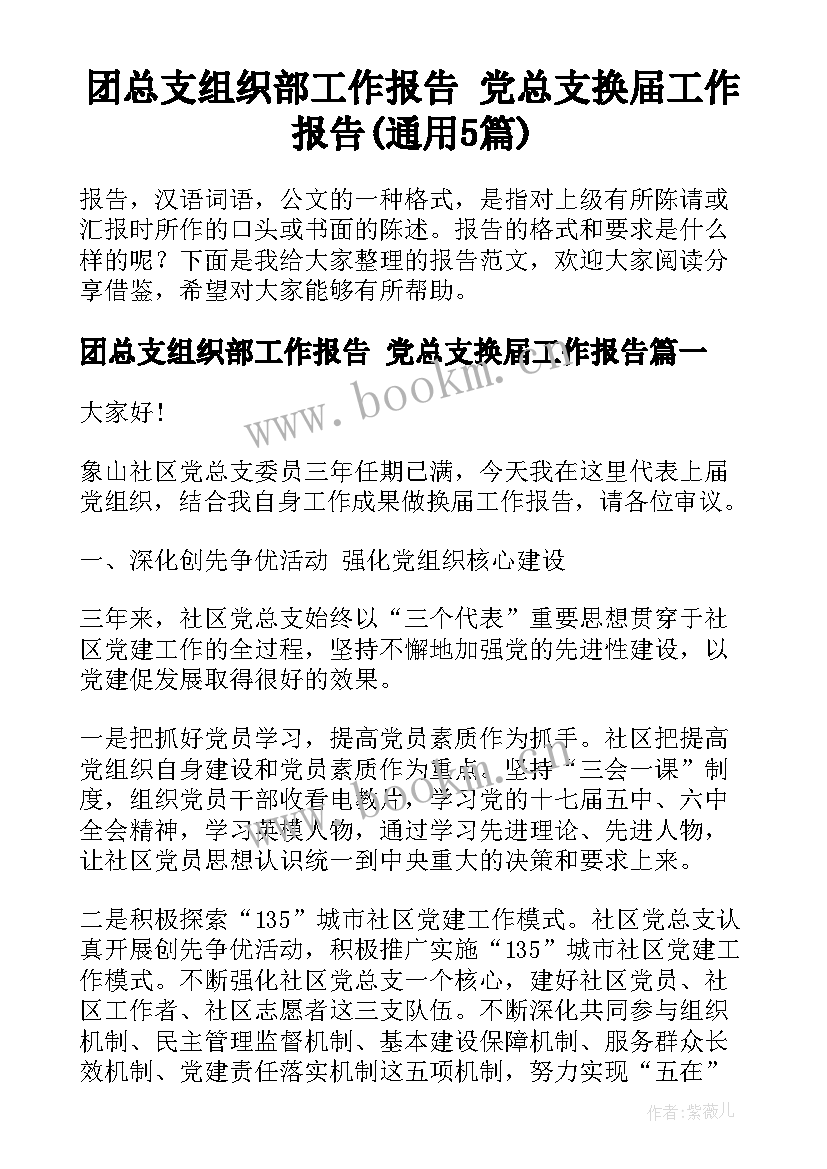 团总支组织部工作报告 党总支换届工作报告(通用5篇)