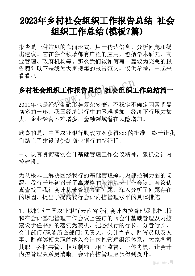 2023年乡村社会组织工作报告总结 社会组织工作总结(模板7篇)