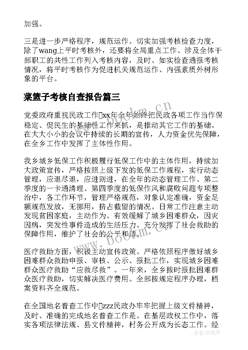 菜篮子考核自查报告(优质8篇)