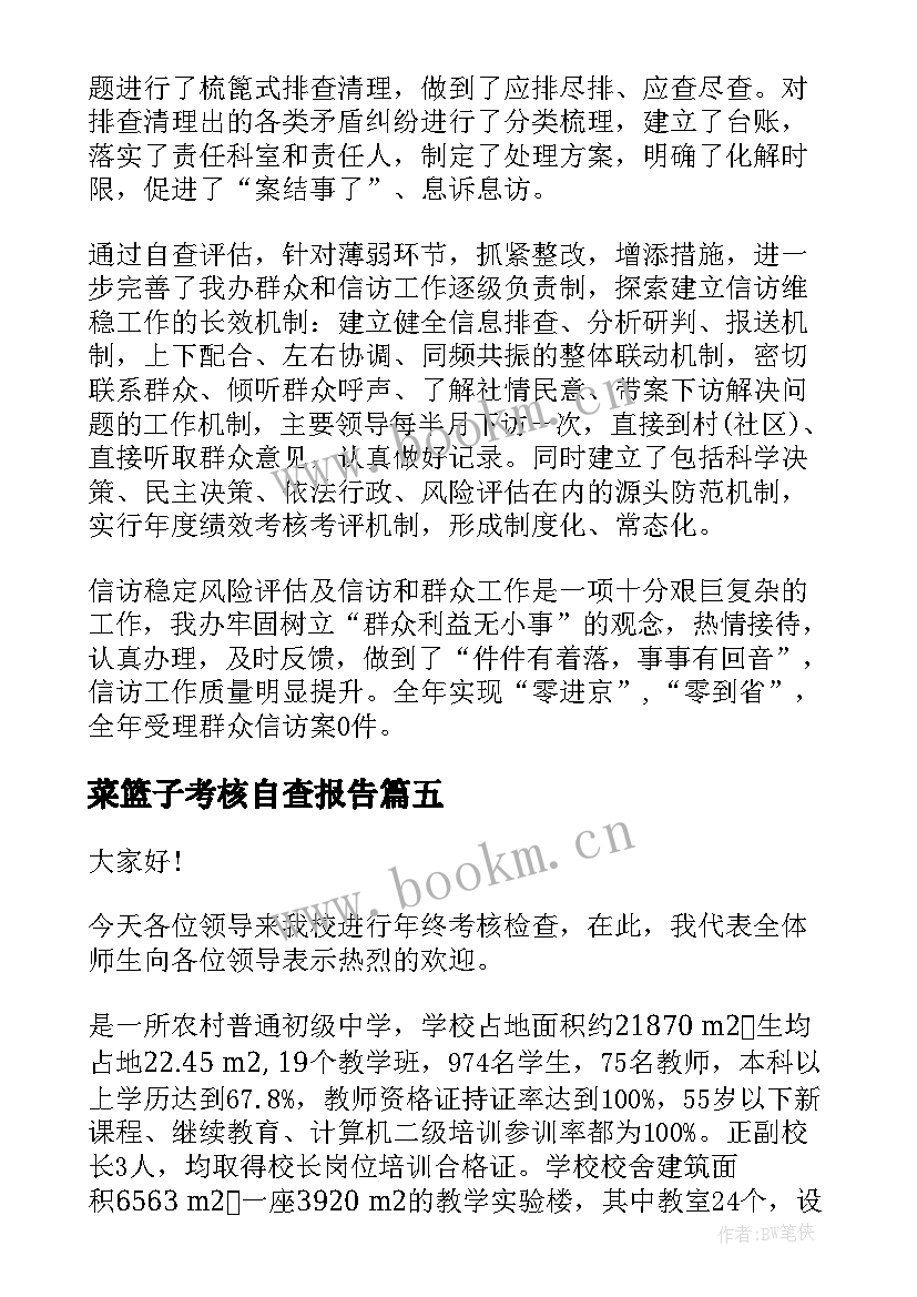 菜篮子考核自查报告(优质8篇)