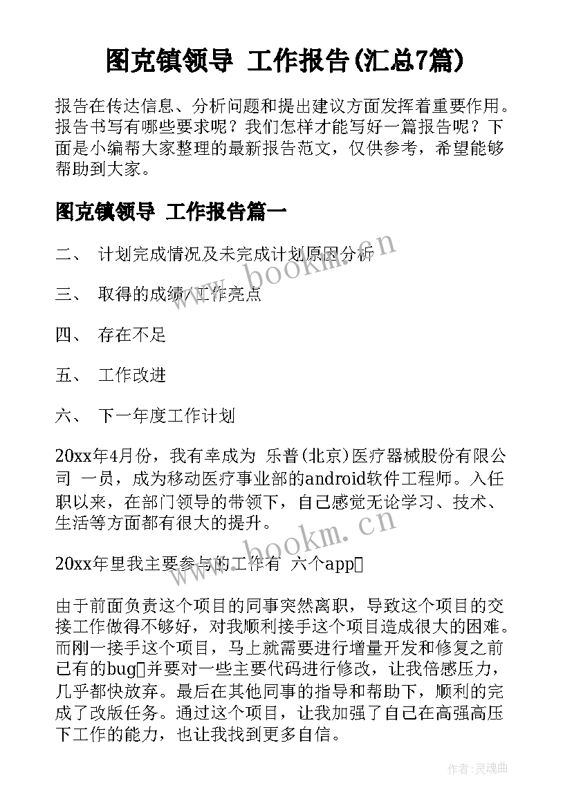 图克镇领导 工作报告(汇总7篇)