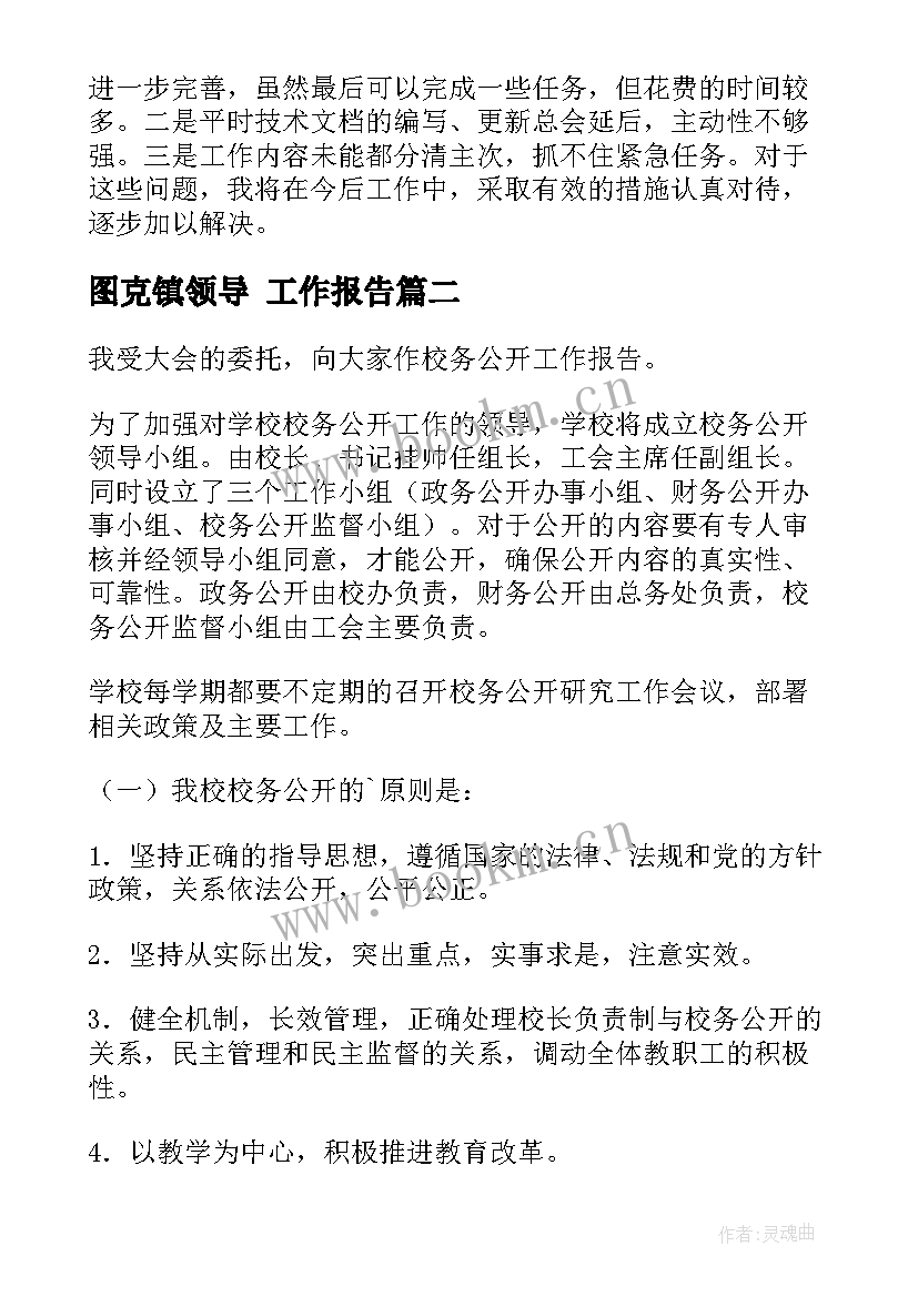 图克镇领导 工作报告(汇总7篇)