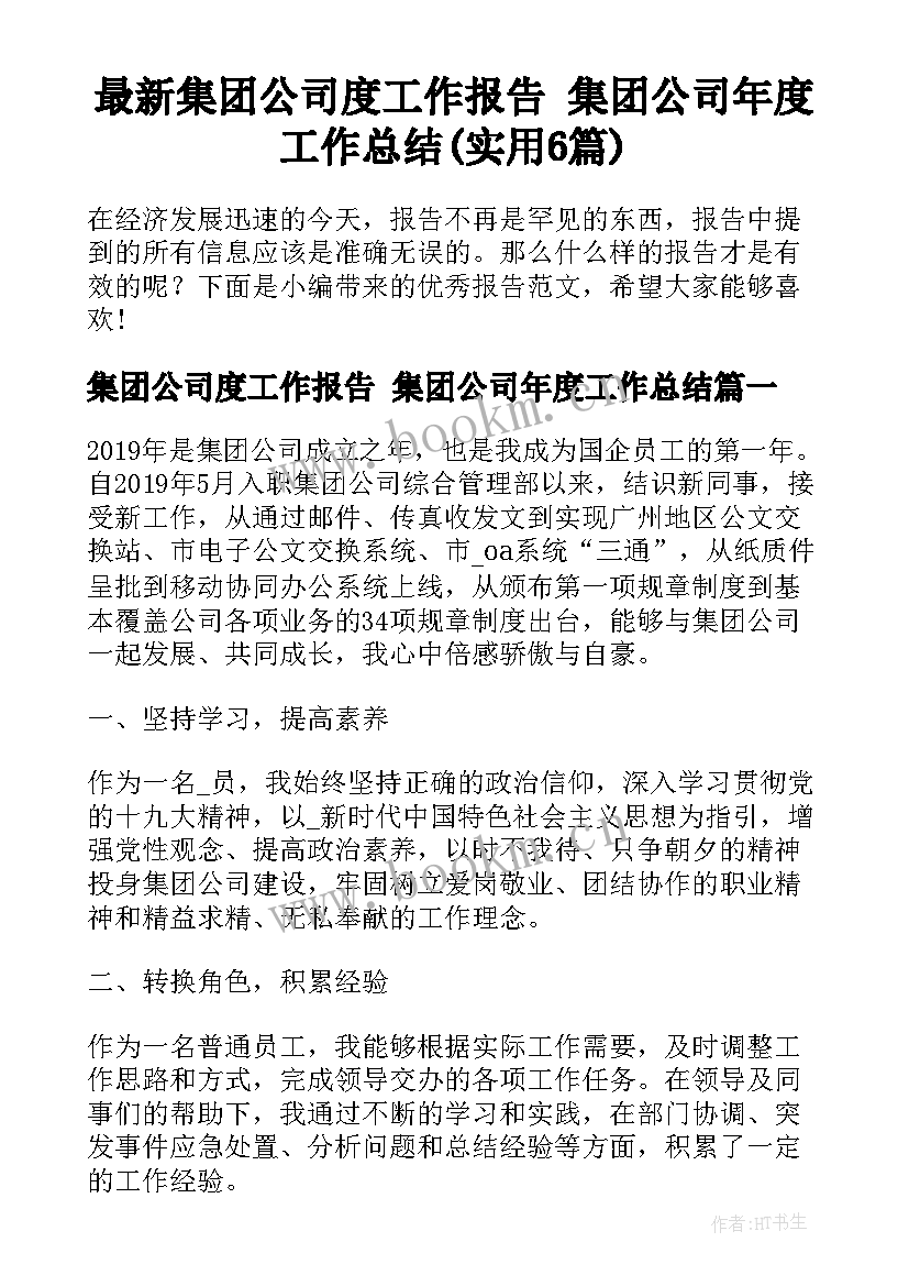 最新集团公司度工作报告 集团公司年度工作总结(实用6篇)