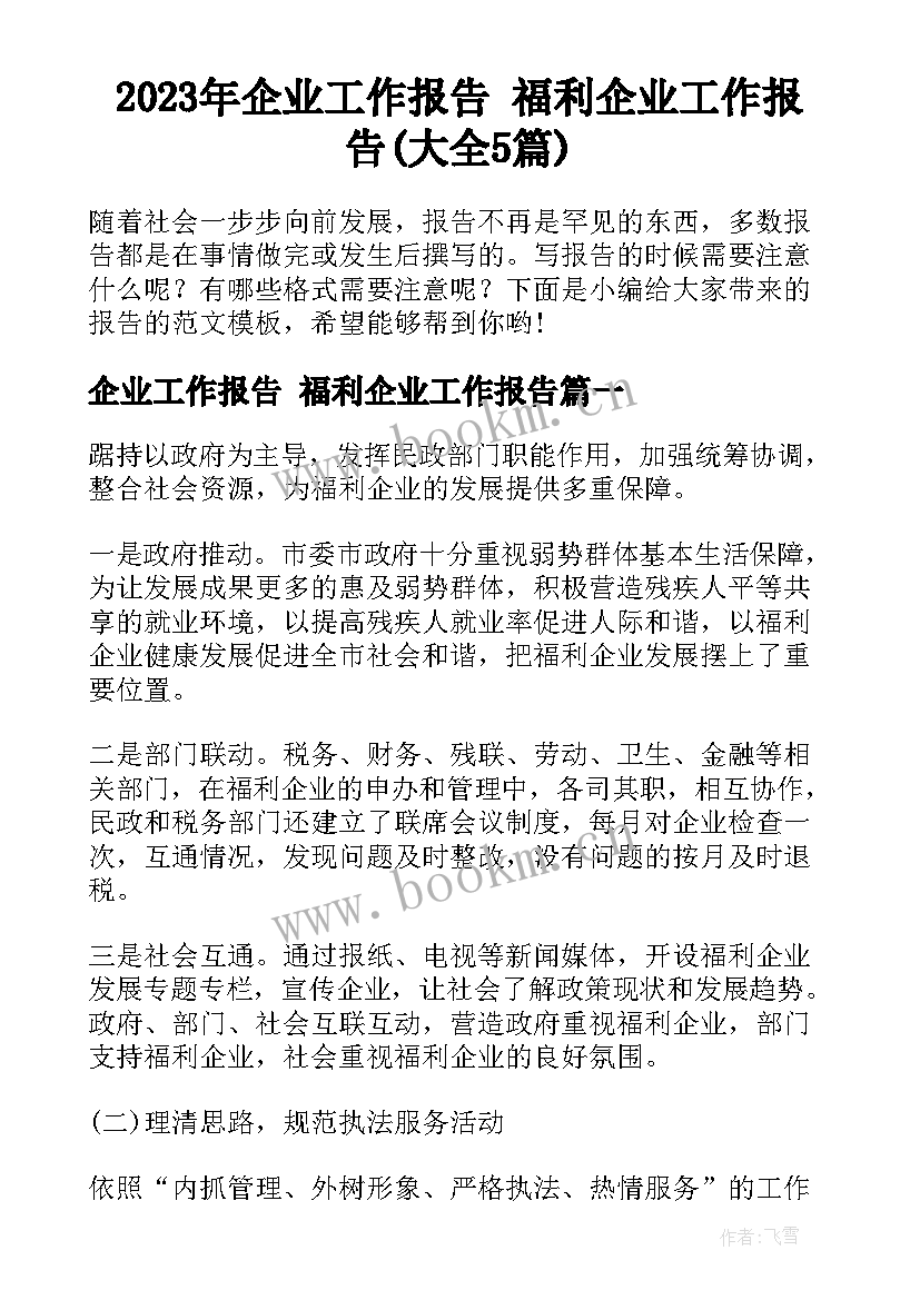 2023年企业工作报告 福利企业工作报告(大全5篇)